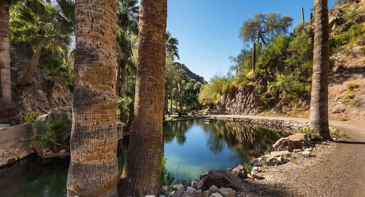A World Away, In Your Backyard: A Journey to Castle Hot Springs