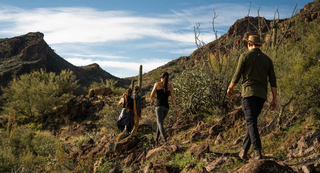Group of Four Hiking Through Arizona Cacti and Foliage