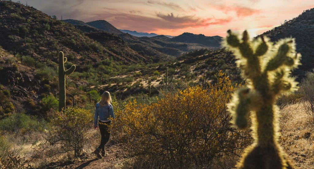 Woman Hiking Among an Arizona Sunset with Cacti and Foliage during a digital detox