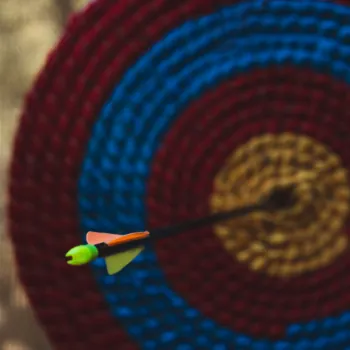 Arrow Piercing the Center of Colorful Target