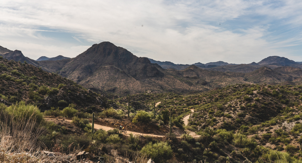 The Sonoran Desert