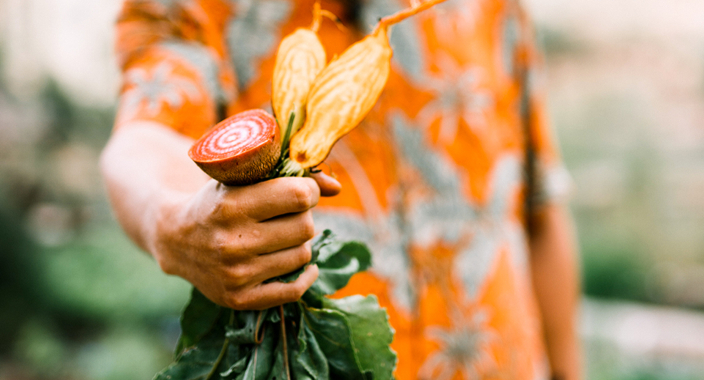 A hand holding a freshly harvested carrot with vibrant orange-yellow flowers.