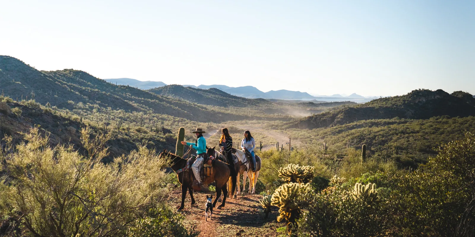 A group of people horseback riding in the desert at an inclusive adults only resort in Arizona