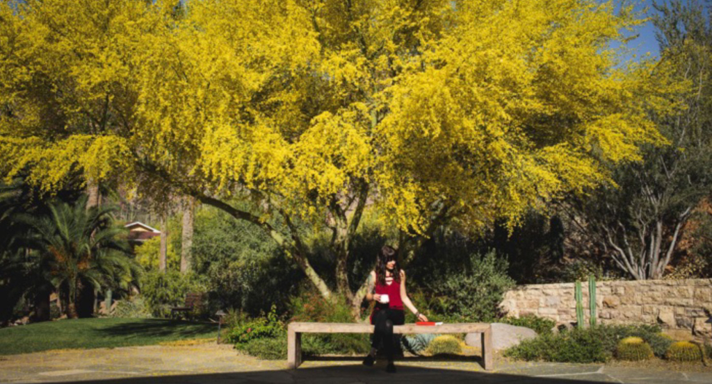 A woman sitting on a bench at Castle Hot Springs, a luxury inclusive resort