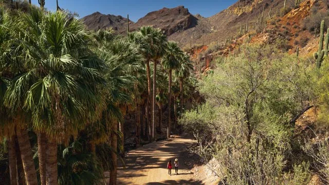 Tow people walking on a pathway