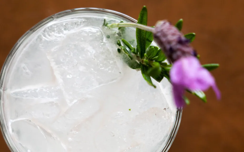 Gimlet Cocktail at Castle Hot Springs resort