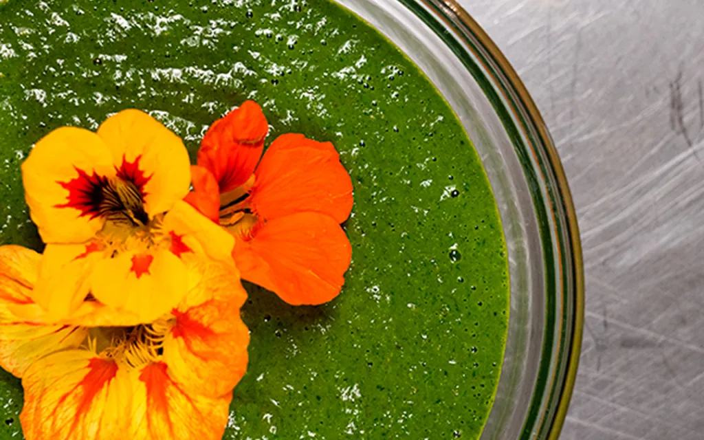 Chimmichurri at Castle Hot Springs resort