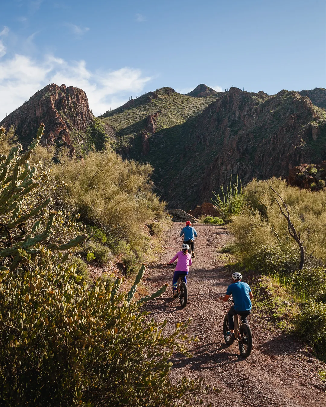 A group mountain biking on a desert trail in Arizona.