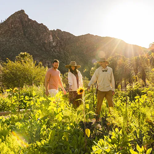Three people in a garden with mountains in the background.
