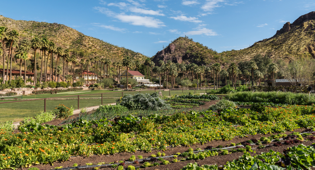 Creative Culinary at Castle Hot Springs