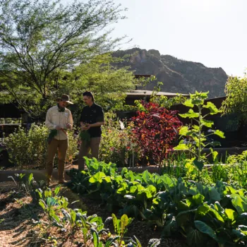 Two men stand and converse next to rows of crops on a sunny day.