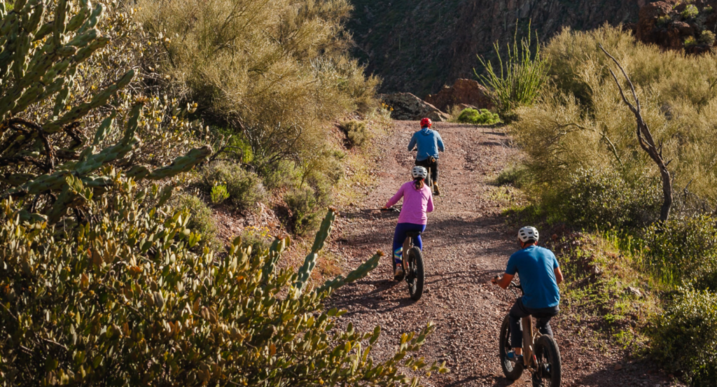Three people on an e-bike tour near Castle Hot Springs