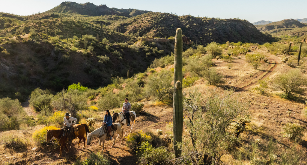 A group horseback riding in Arizona