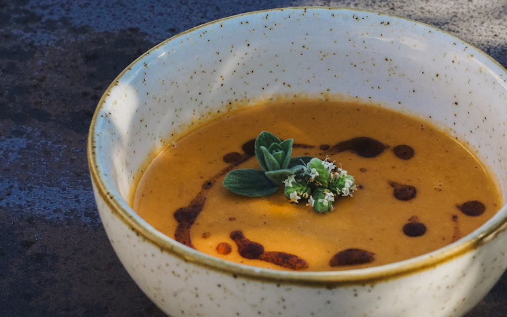 Squash Bisque Recipe