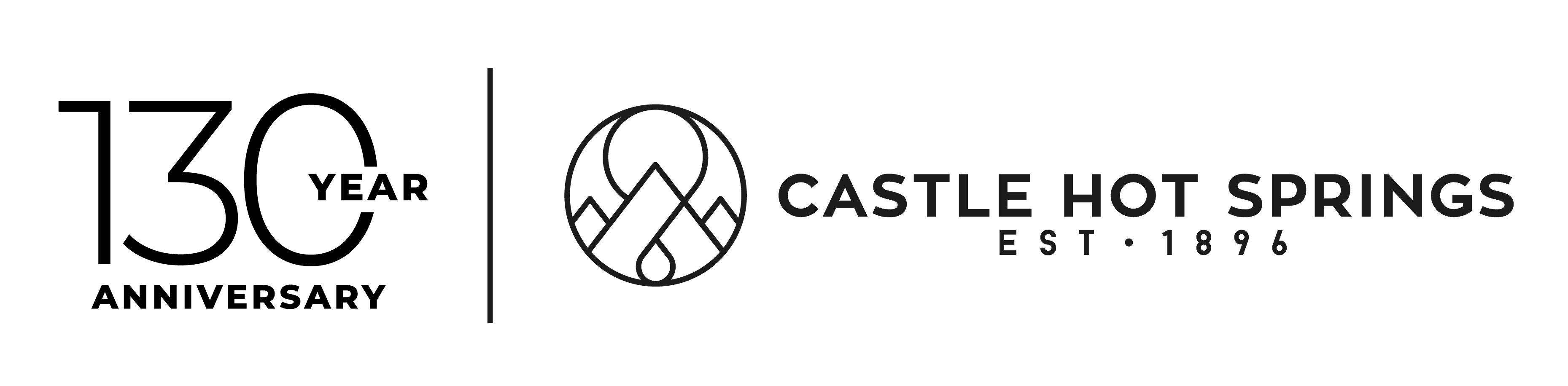 130 CHS Logo 02
