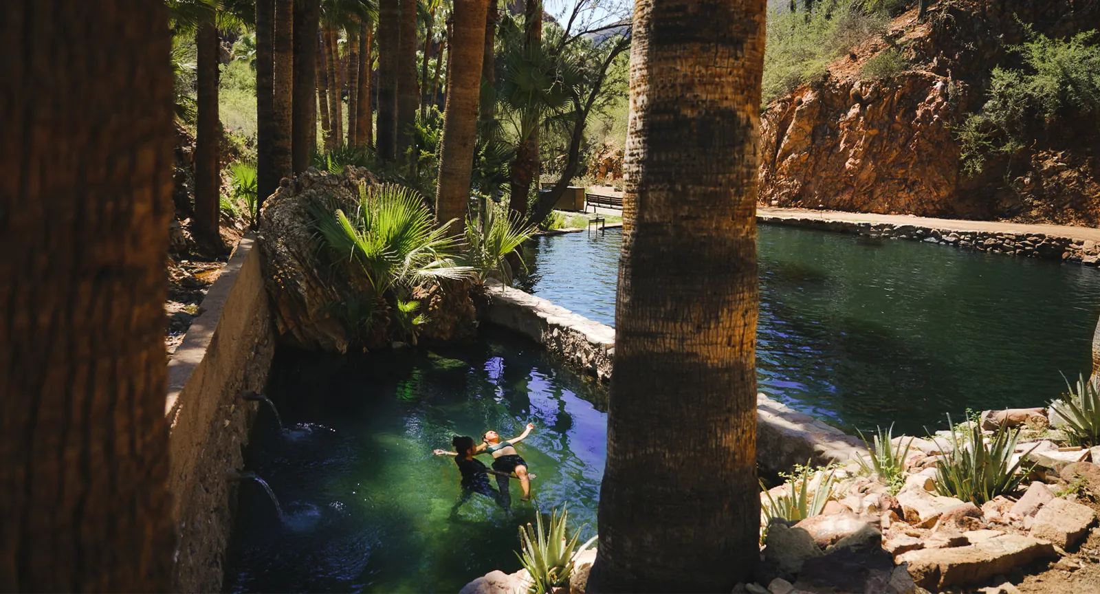 Watsu treatments in the outdoor springs surrounded by palm trees.