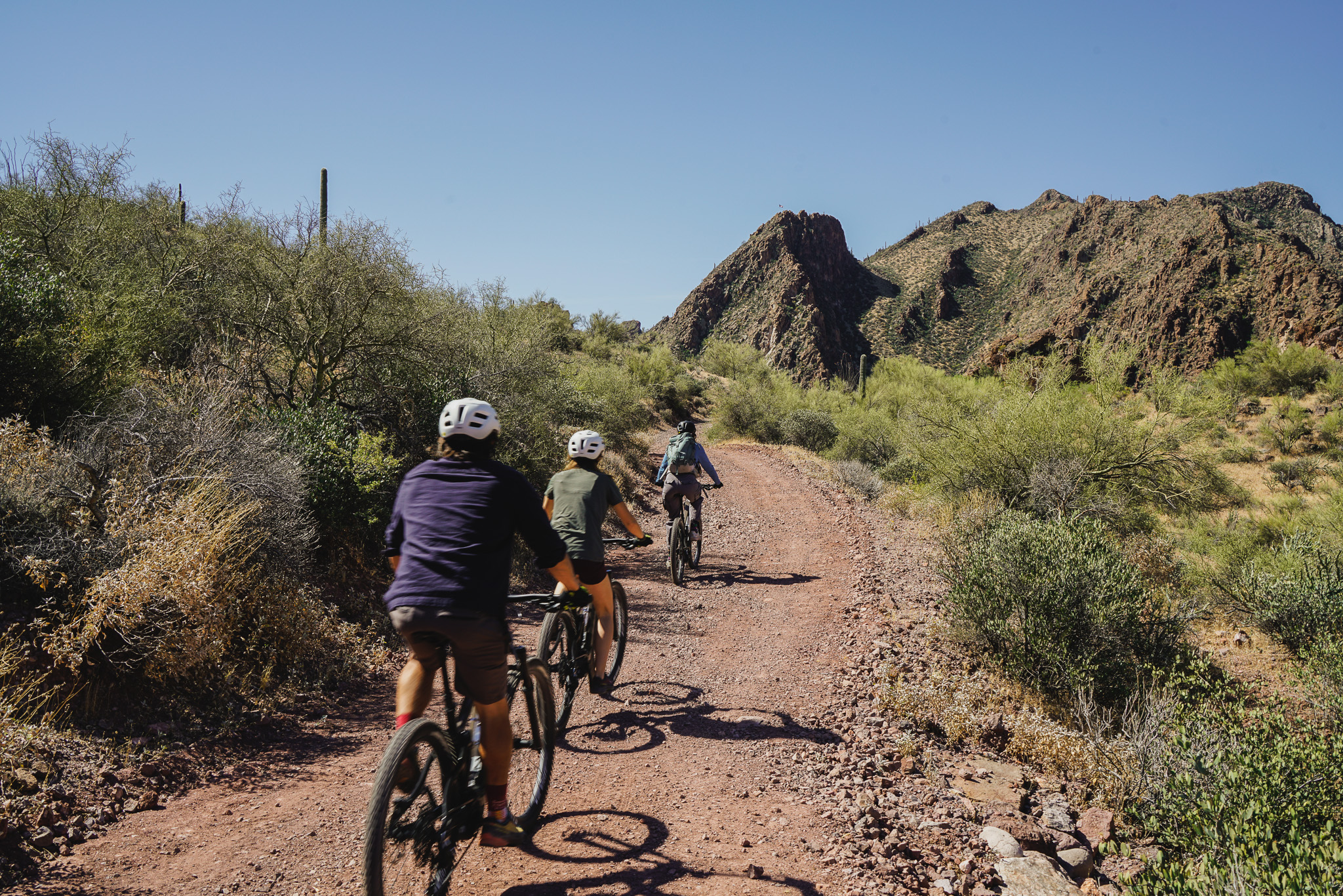 Electric Mountain Biking Tours