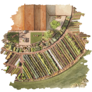 Farm